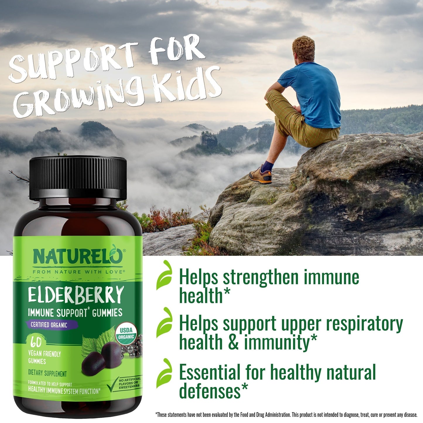 Elderberry Gummy Supplements for Immune Support